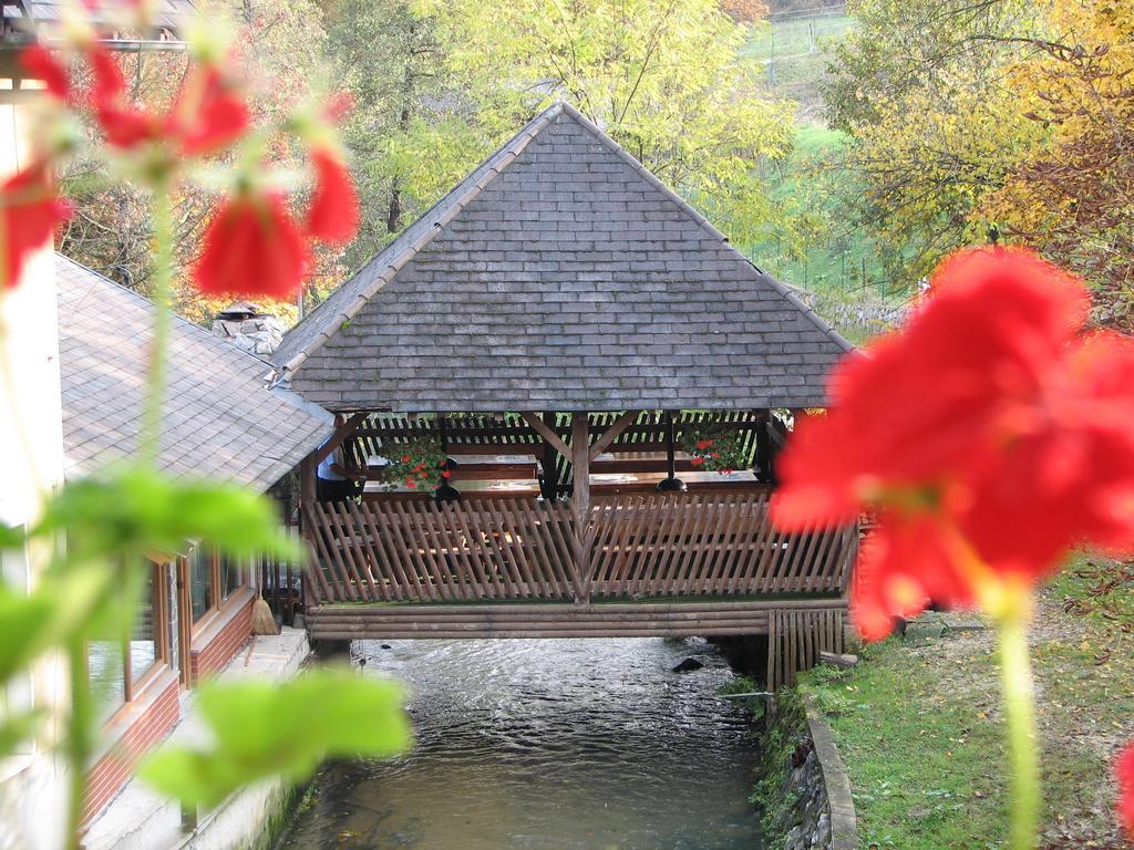 Guesthouse Zorko Gostilna Domen Smarjeske Toplice Exterior foto